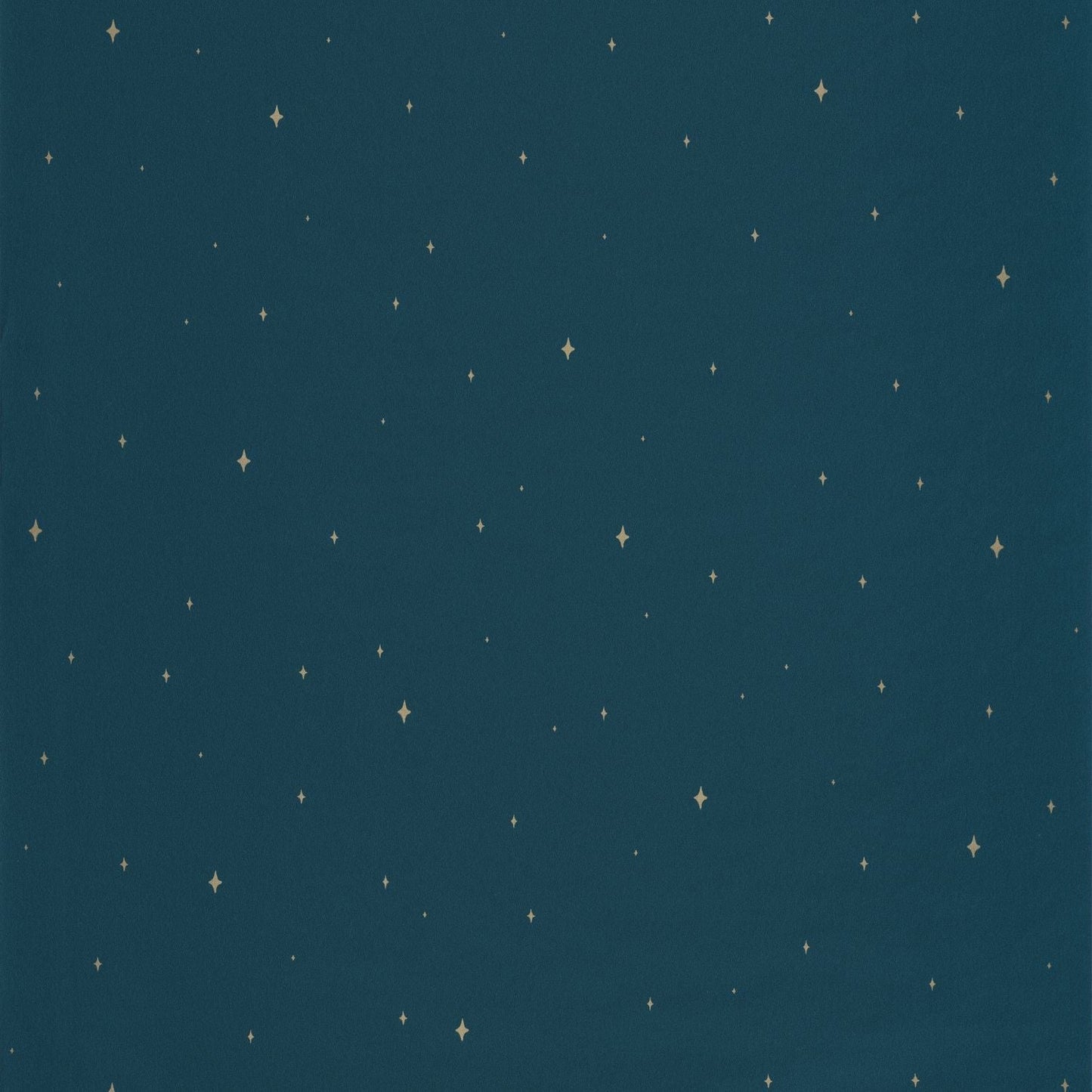 Under The Stars Wallpaper - Bleu Nuit - Caselio - 102966645