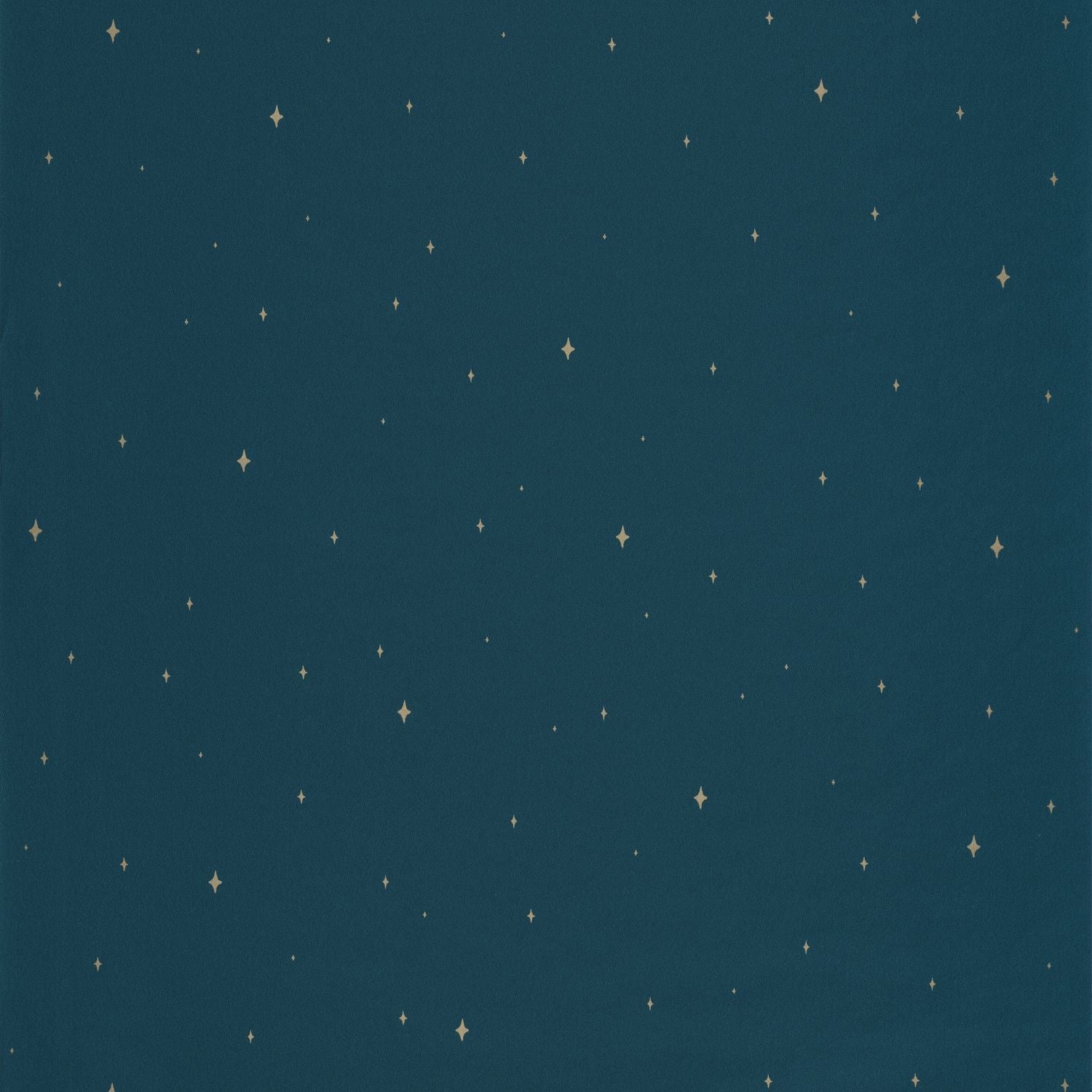 Under The Stars Wallpaper - Bleu Nuit - Caselio - 102966645