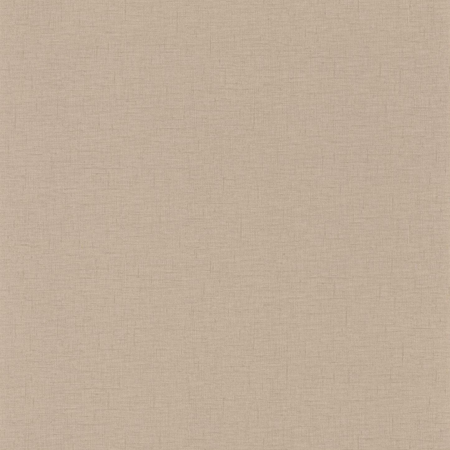 Uni Gaze Wallpaper - Marron Glace - Caselio - 103762000