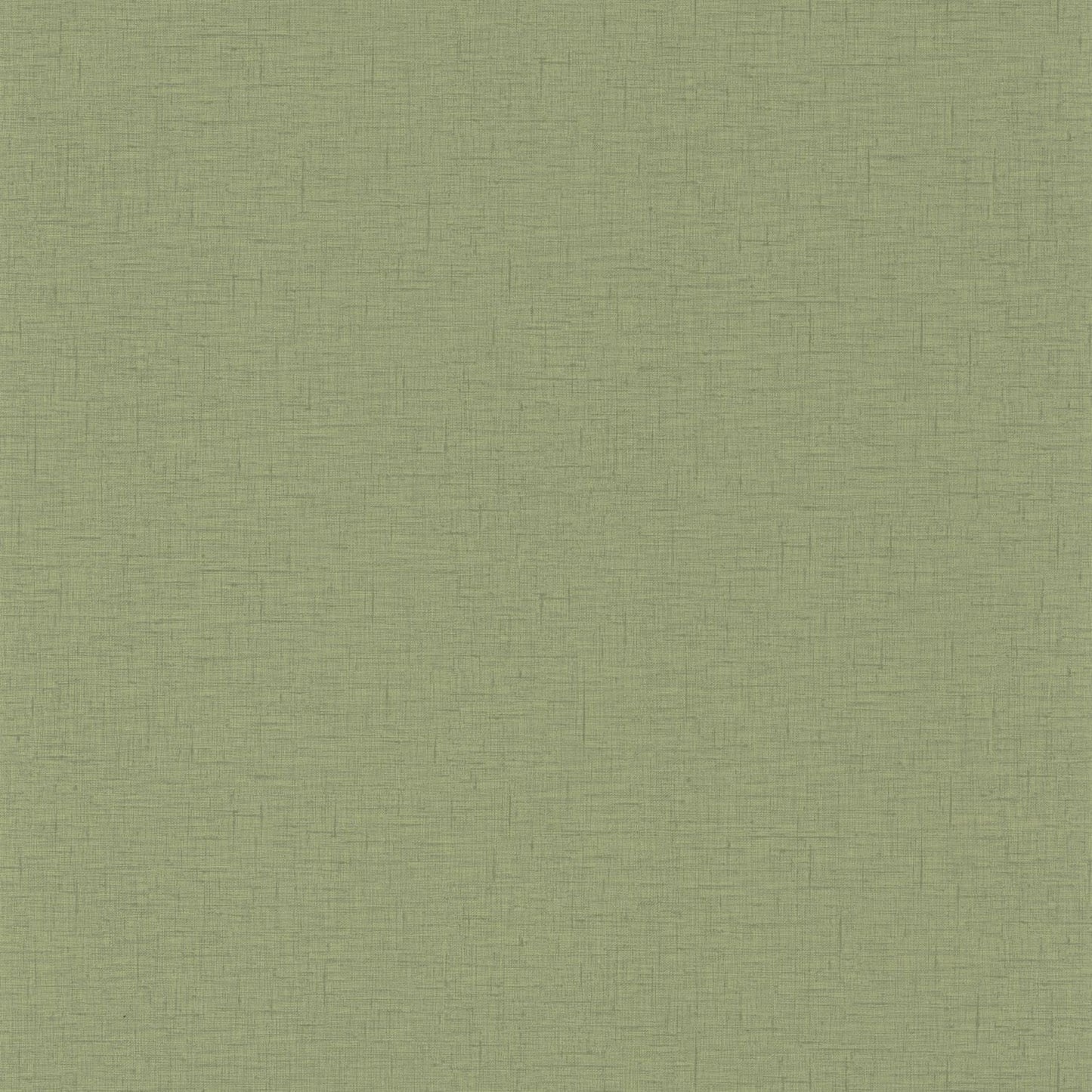 Uni Gaze Wallpaper - Olive - Caselio - 103767228