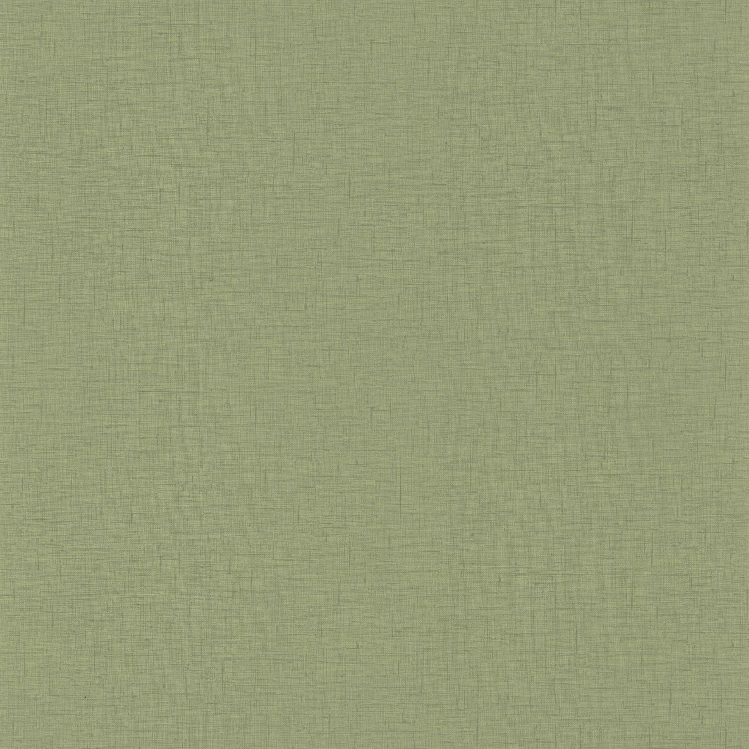 Uni Gaze Wallpaper - Olive - Caselio - 103767228