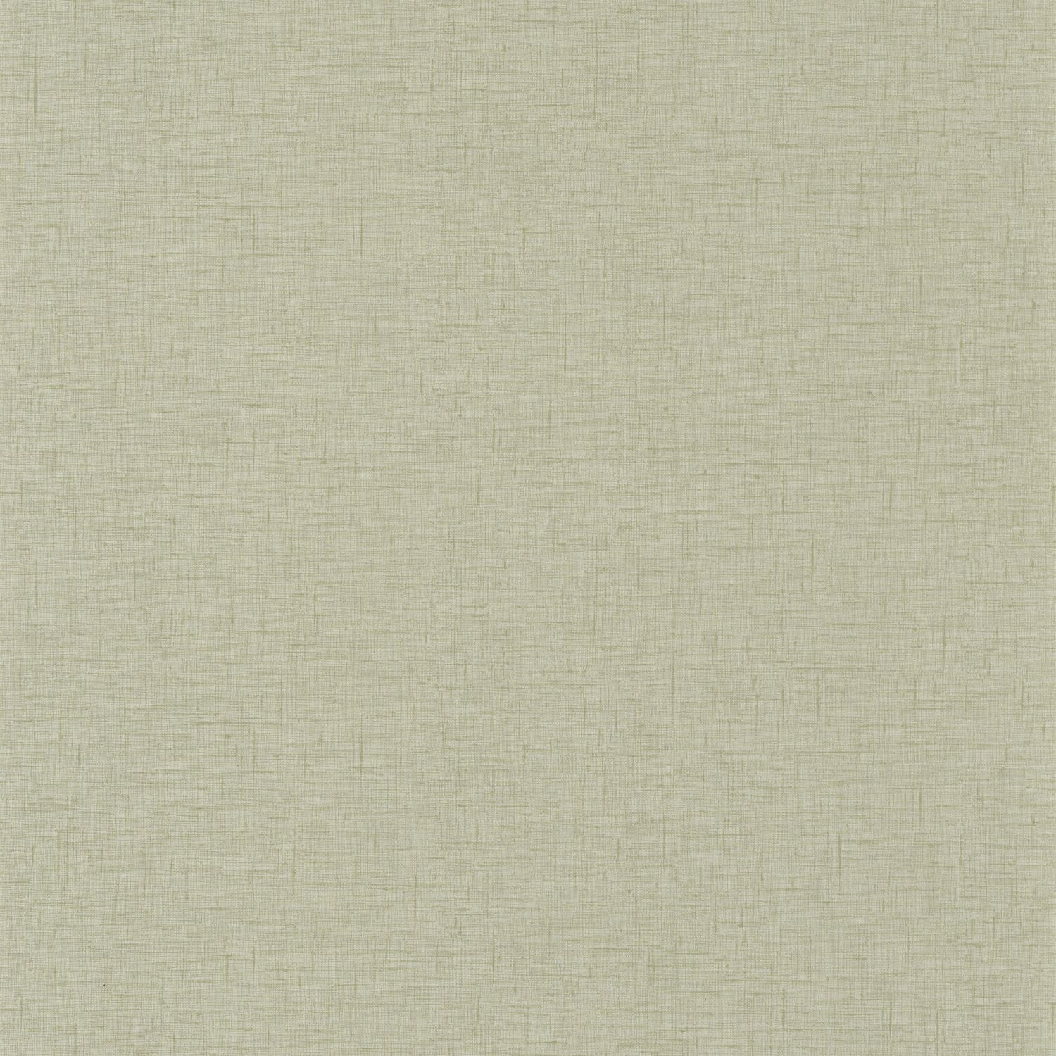 Uni Gaze Wallpaper - Sauge - Caselio - 103767113