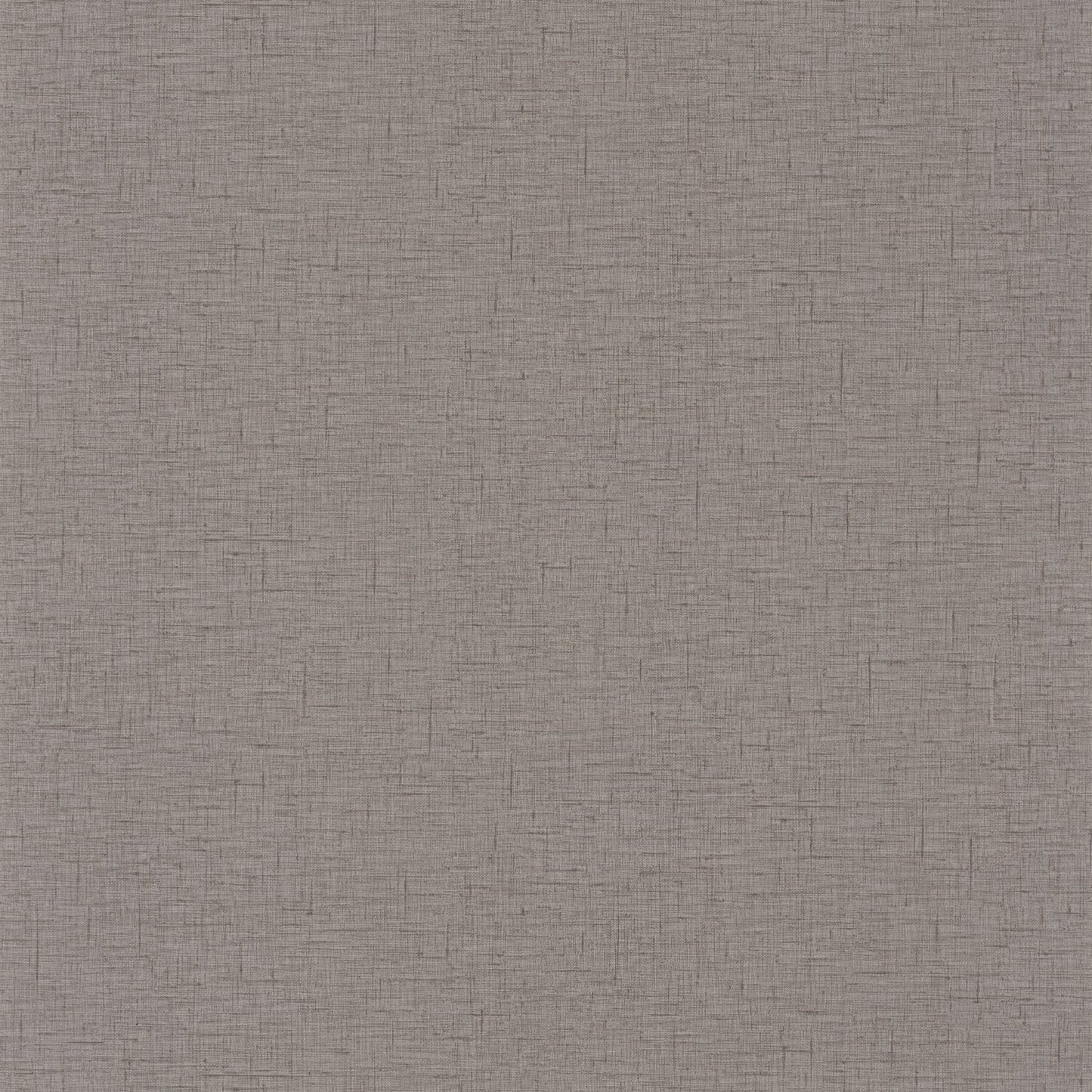 Uni Gaze Wallpaper - Taupe - Caselio - 103761840