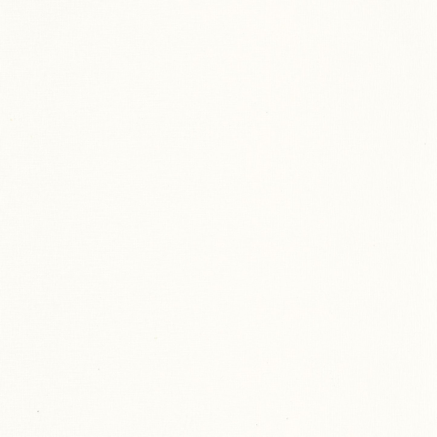 Uni Gaze Wallpaper - Blanc - Caselio - 103760000