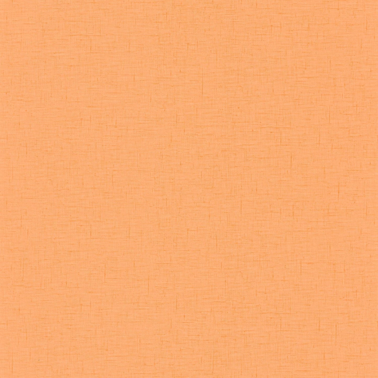 Uni Gaze Wallpaper - Orange - Caselio - 103763000