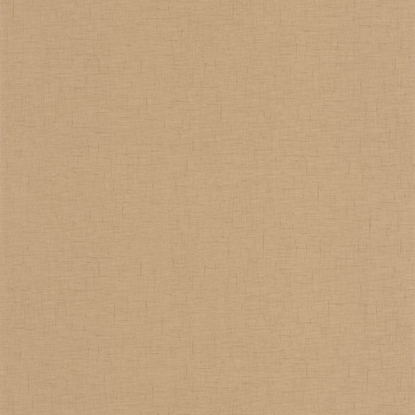 Uni Gaze Wallpaper - Camel - Caselio - 103762142