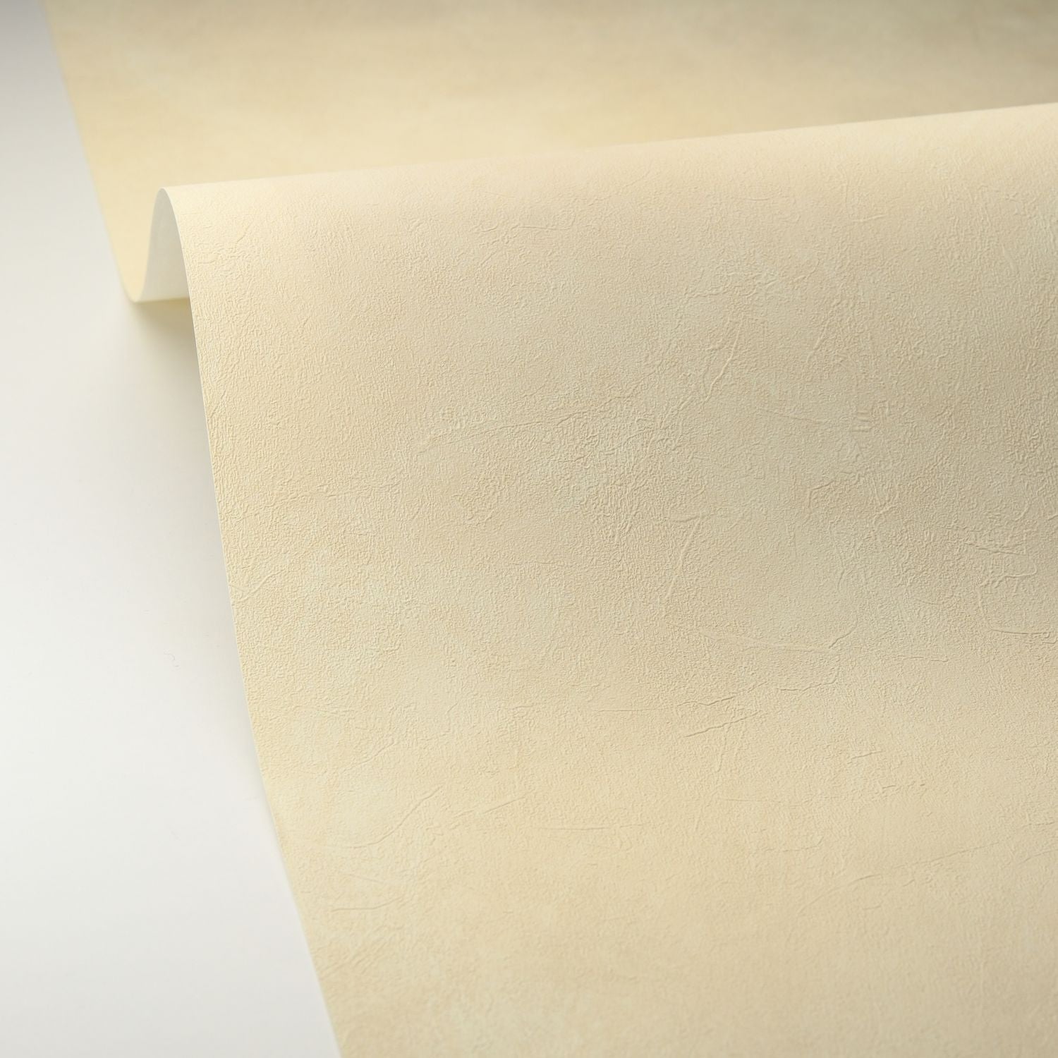 Uni La Chaux Wallpaper - Terre De Lune - Caselio - 106081010