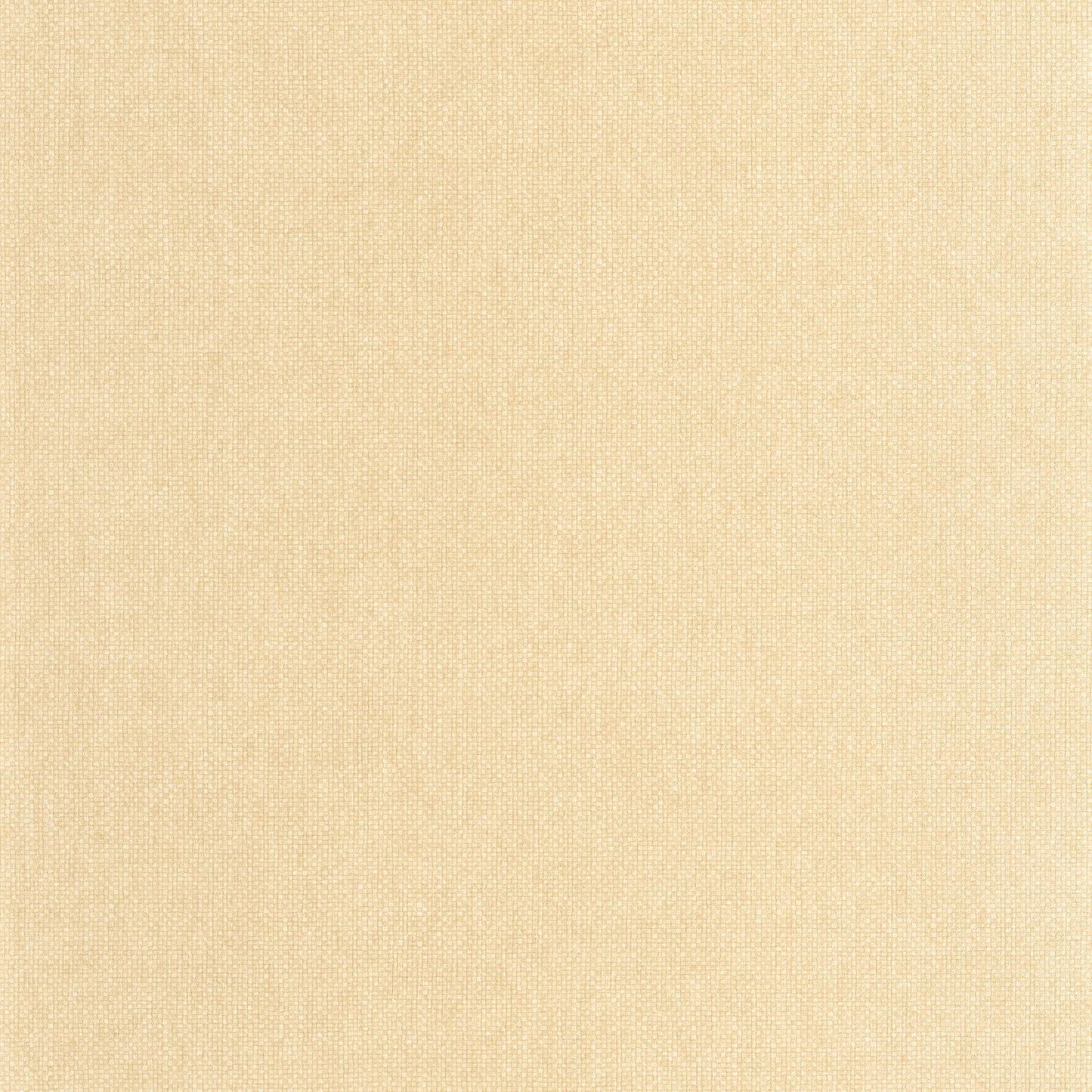Uni Mat Wallpaper - Beige Sable - Caselio - 104991642