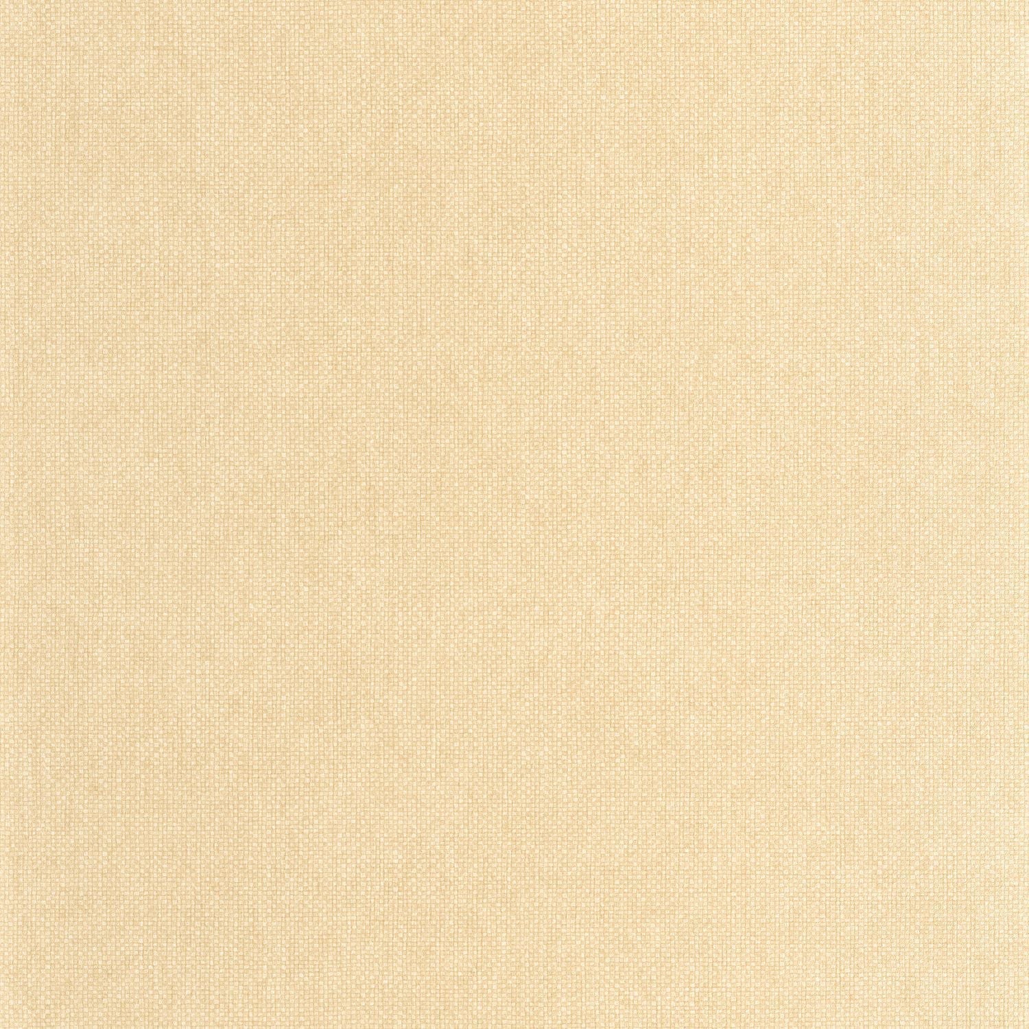 Uni Mat Wallpaper - Beige Sable - Caselio - 104991642