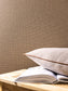 Uni Mat Wallpaper - Noisette - Caselio - 104012008
