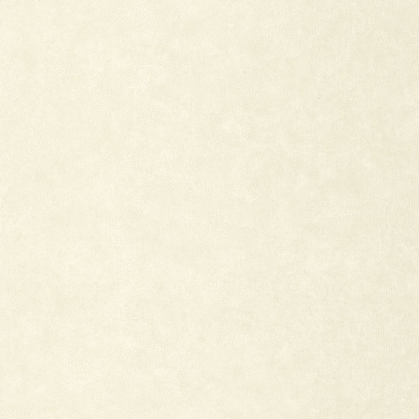 Uni Mat Wallpaper - Ecru - Caselio - 105240000