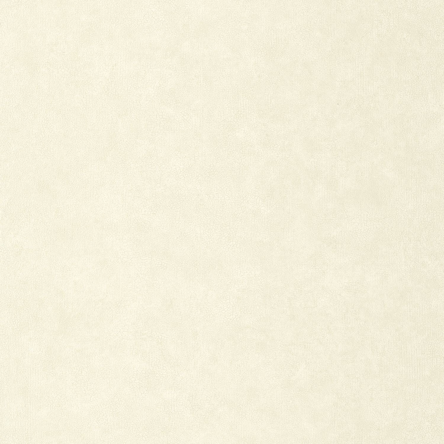 Uni Mat Wallpaper - Ecru - Caselio - 105240000