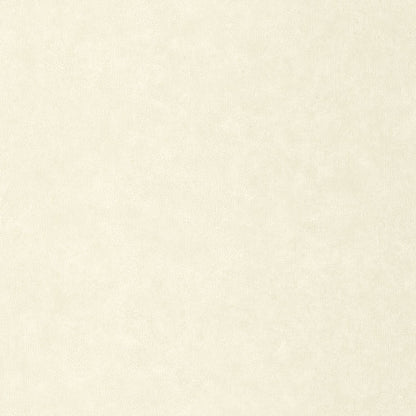 Uni Mat Wallpaper - Ecru - Caselio - 105240000