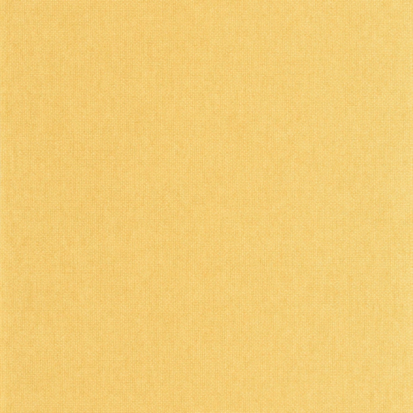 Uni Mat Wallpaper - Ocre - Caselio - 104992554