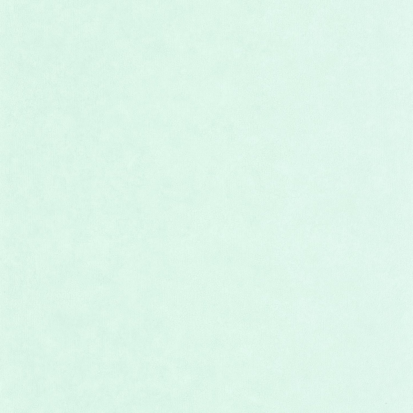 Uni Mat Wallpaper - Vert D'eau - Caselio - 105247000