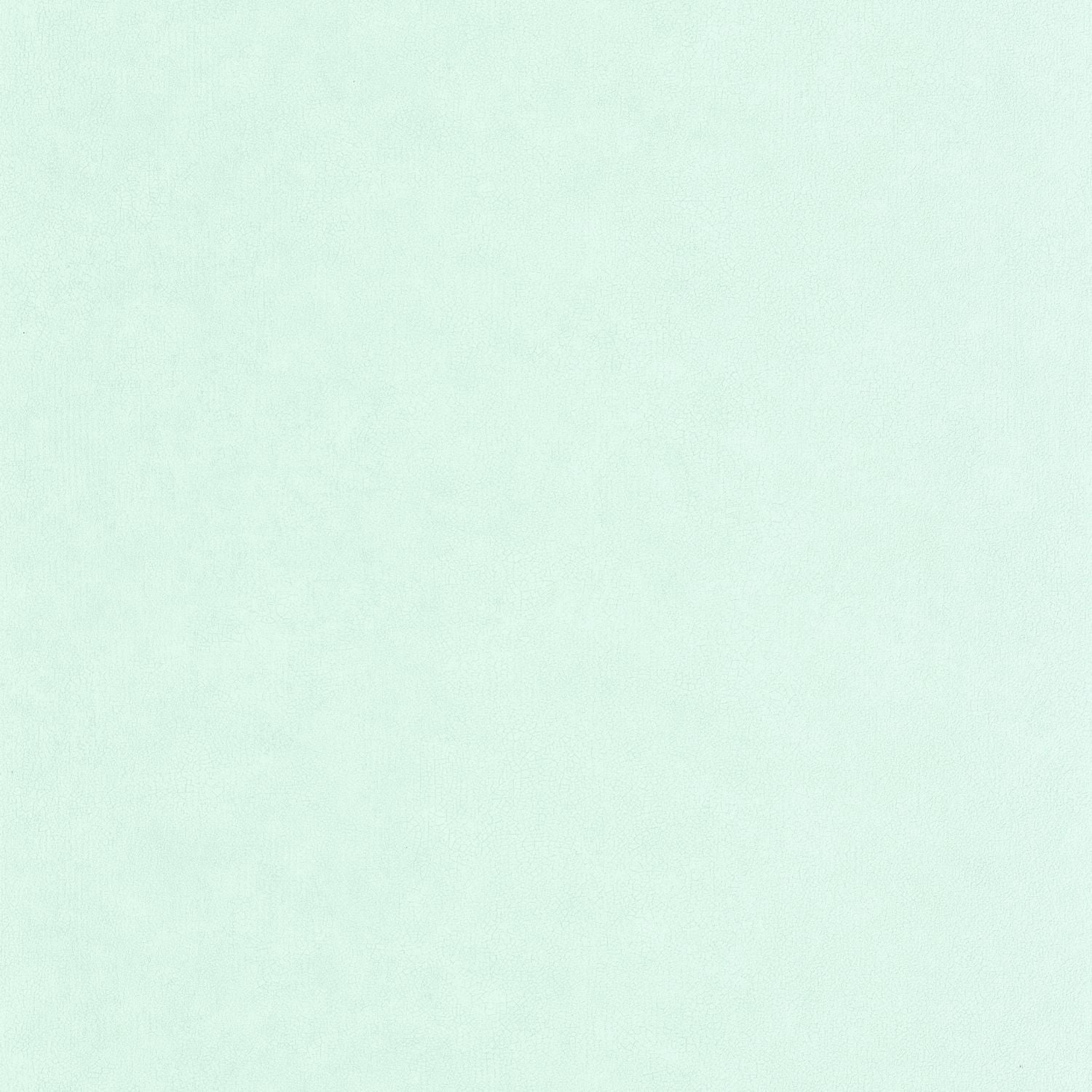 Uni Mat Wallpaper - Vert D'eau - Caselio - 105247000