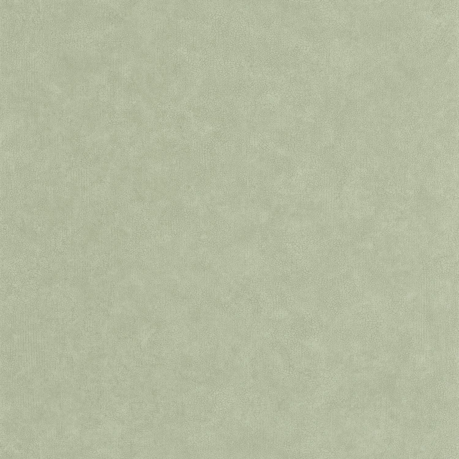 Uni Mat Wallpaper - Sauge - Caselio - 105247740