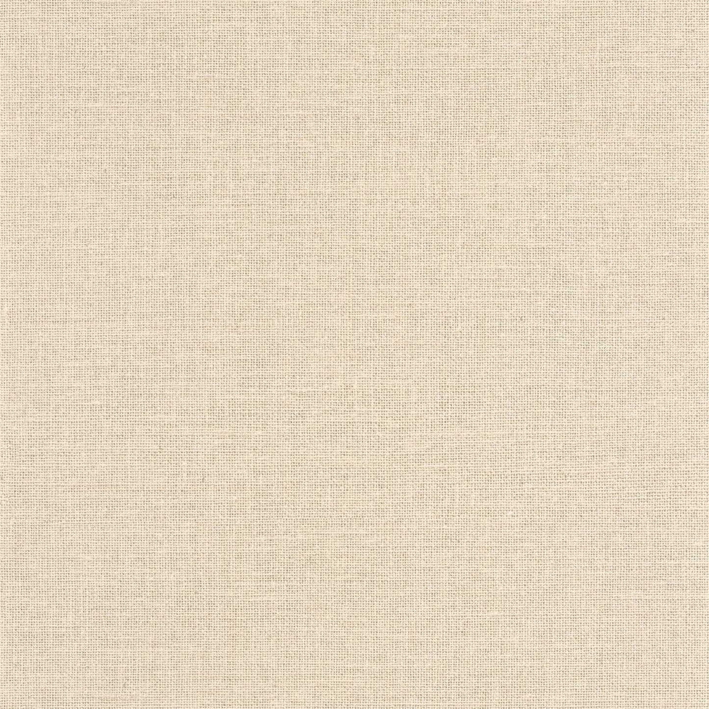 Uni Mat Wallpaper - Ecru - Caselio - 104011230