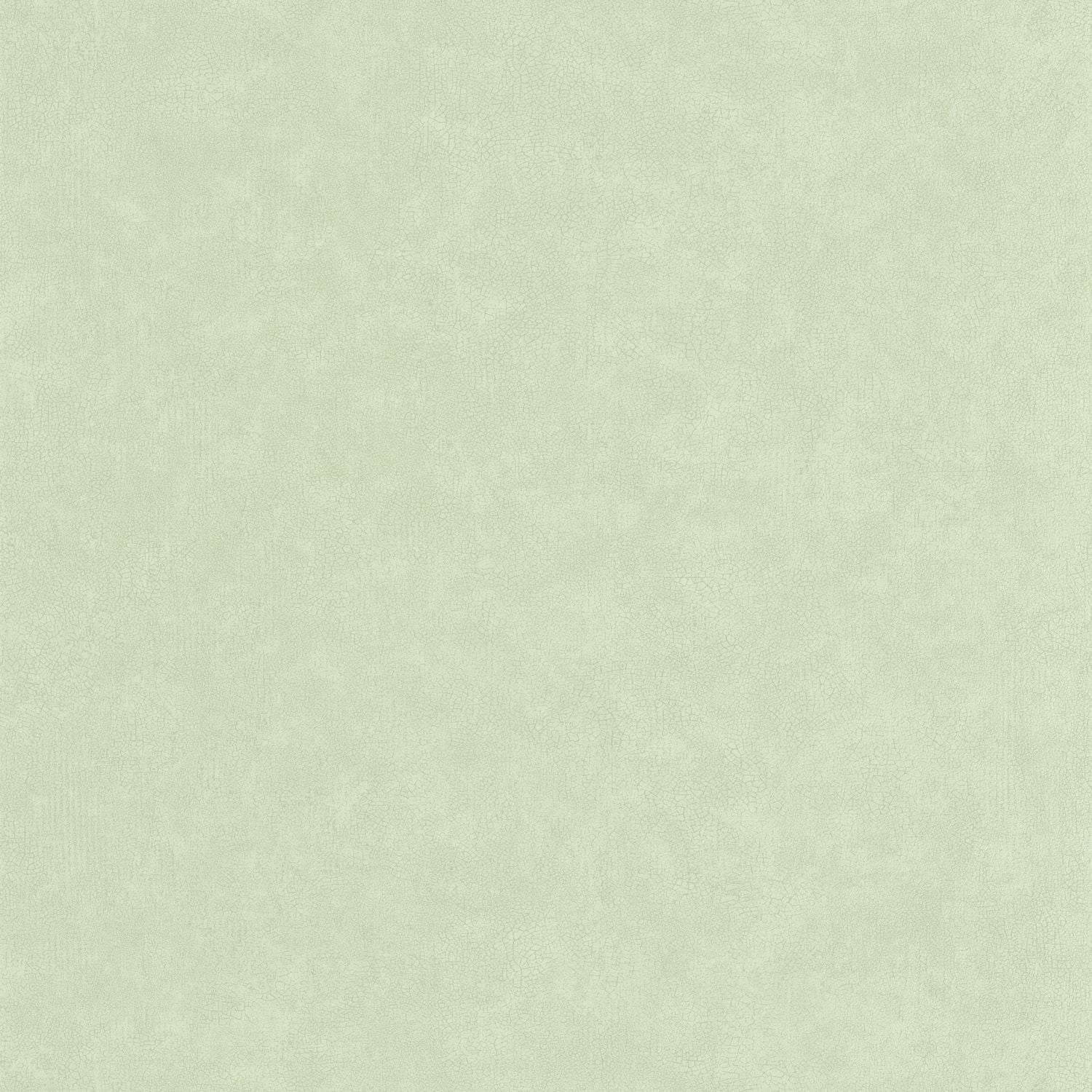 Uni Mat Wallpaper - Amande - Caselio - 105247360