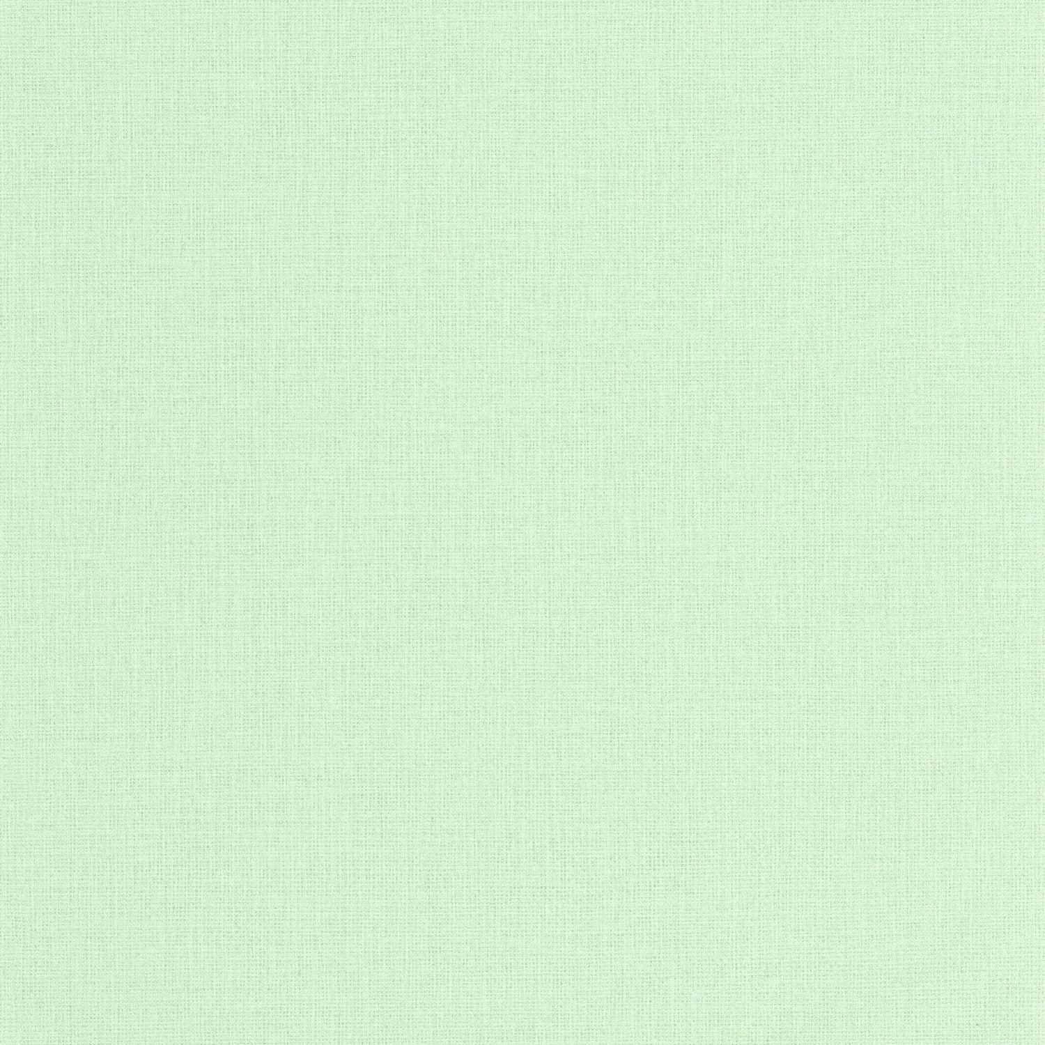 Uni Mat Wallpaper - Vert D'eau - Caselio - 104017468