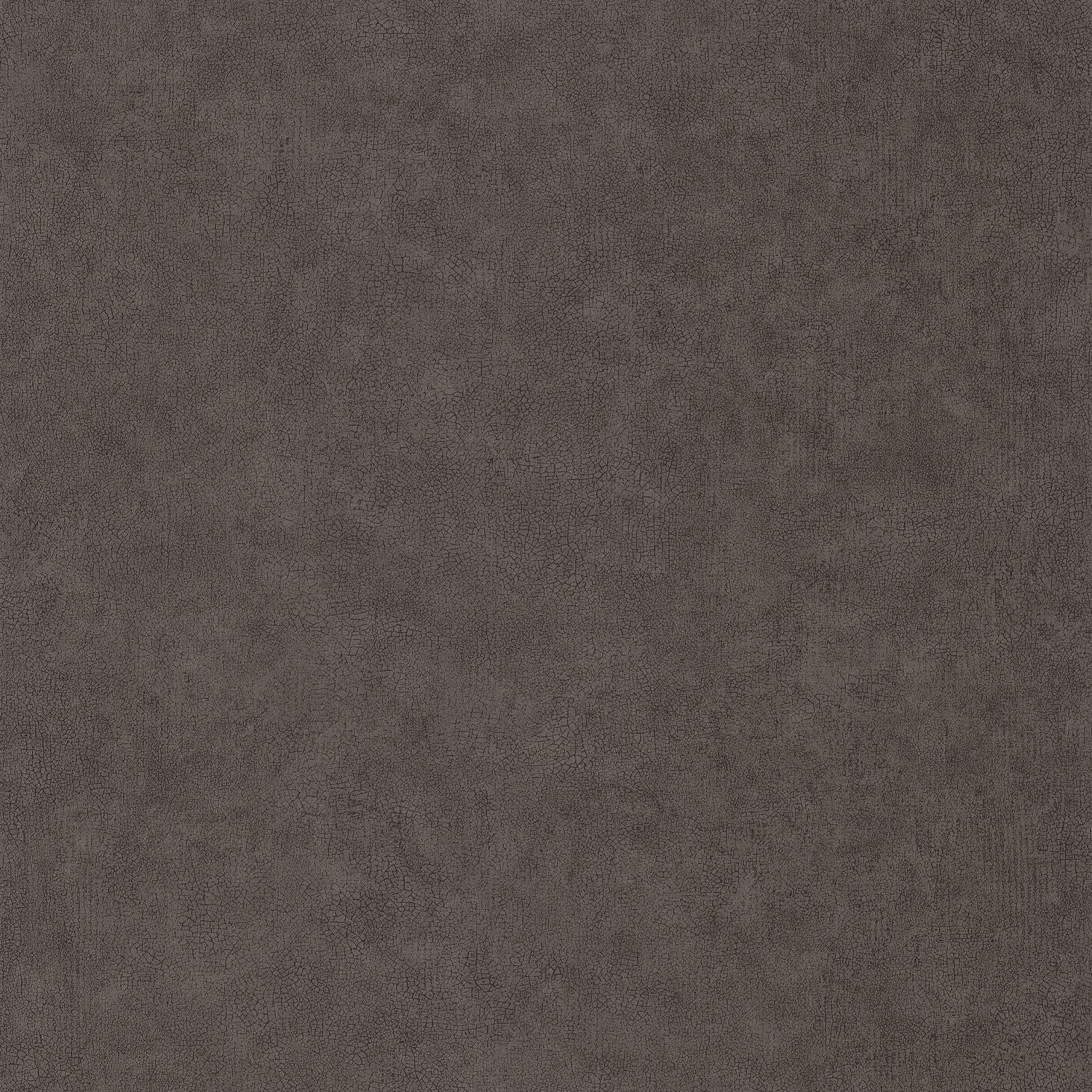 Uni Mat Wallpaper - Terre Cendree - Caselio - 105242429