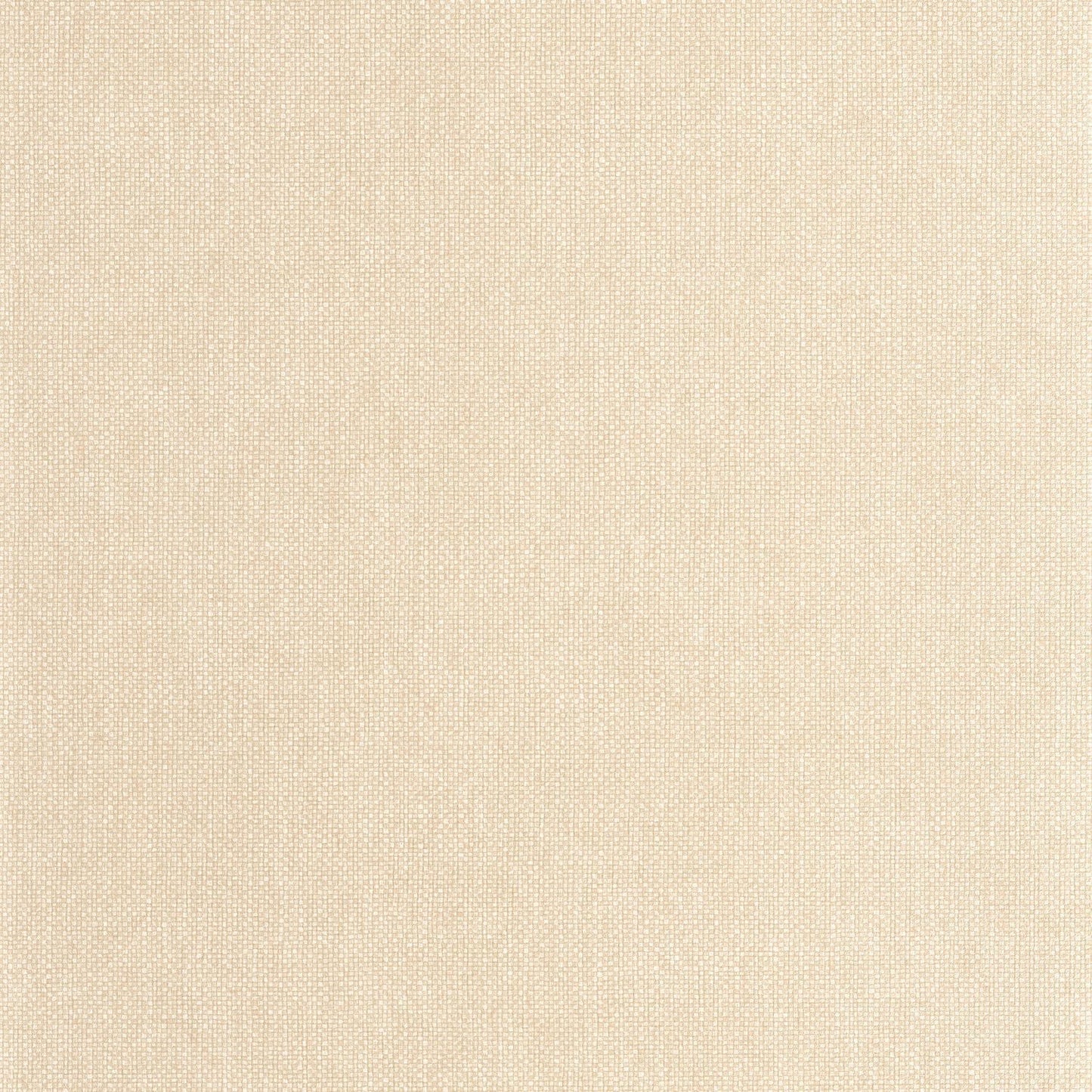 Uni Mat Wallpaper - Beige Galet - Caselio - 104991212
