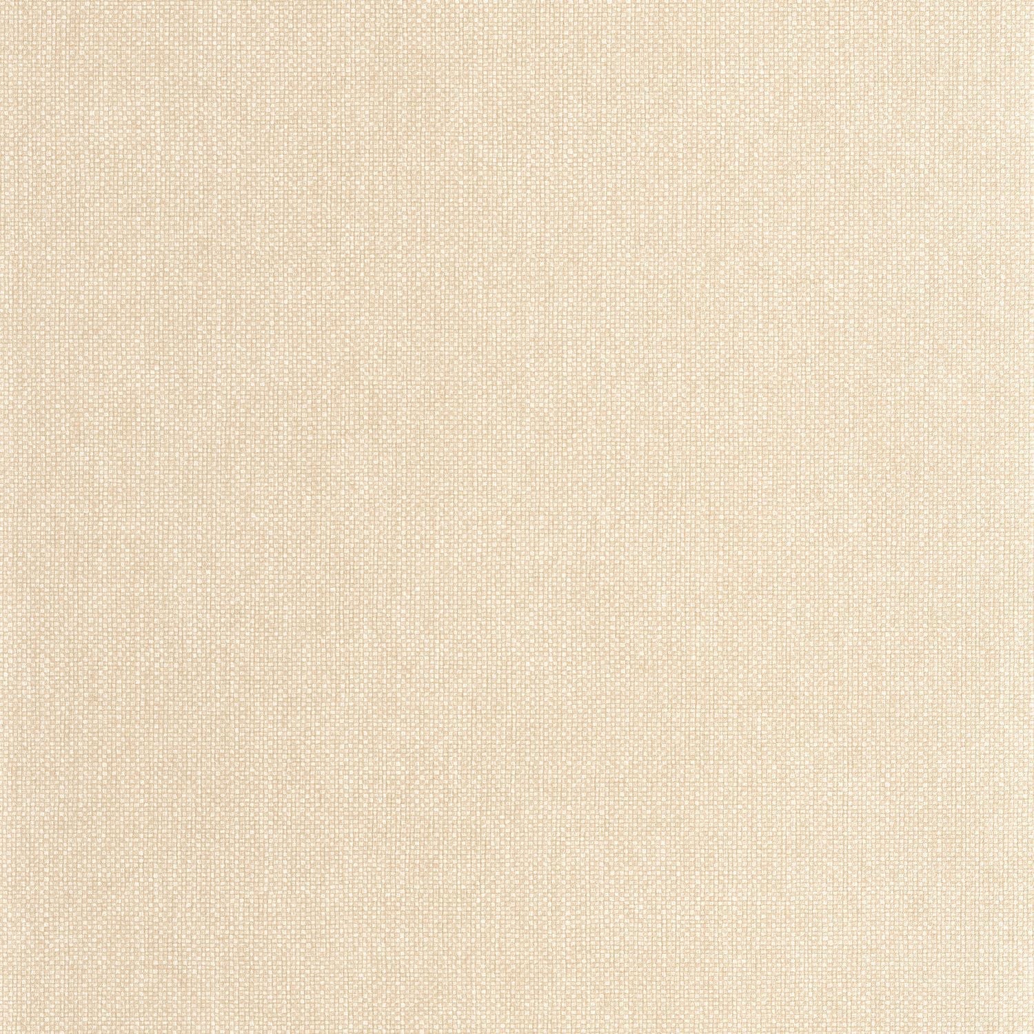 Uni Mat Wallpaper - Beige Galet - Caselio - 104991212