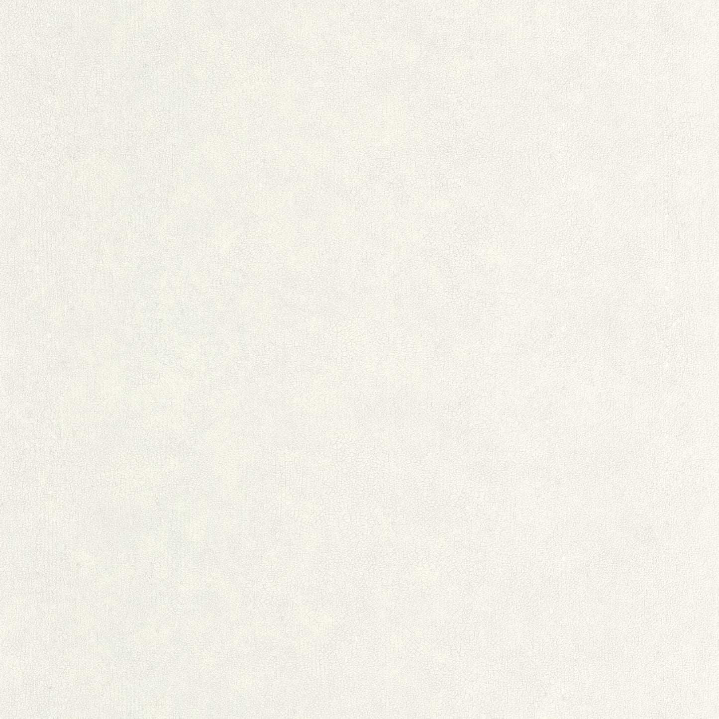 Uni Mat Wallpaper - Gris Etain - Caselio - 105249000