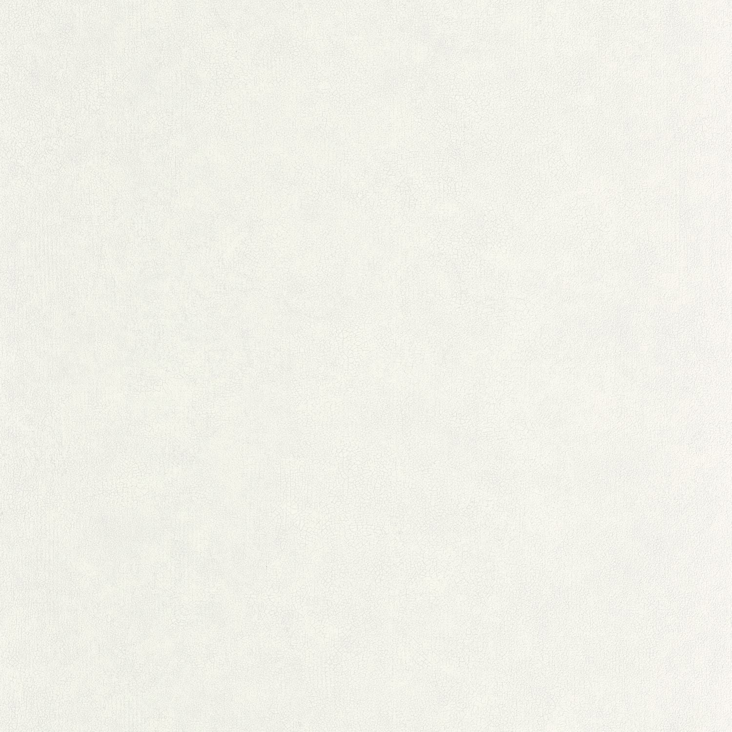 Uni Mat Wallpaper - Gris Etain - Caselio - 105249000