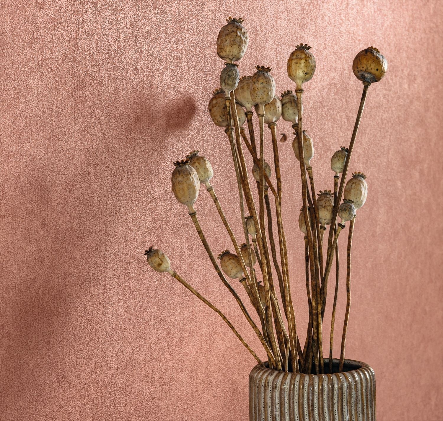 Uni Mat Wallpaper - Rose Antique - Caselio - 105244130