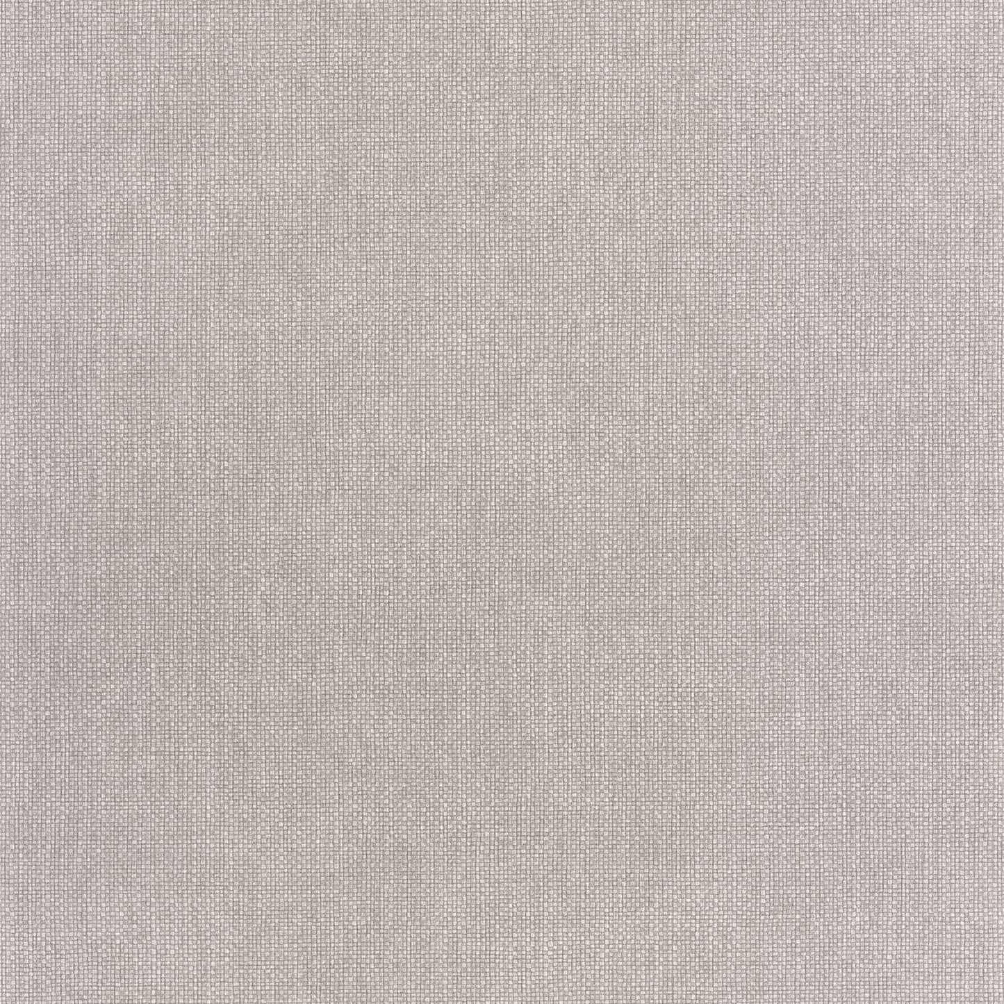 Uni Mat Wallpaper - Cendre - Caselio - 104999609