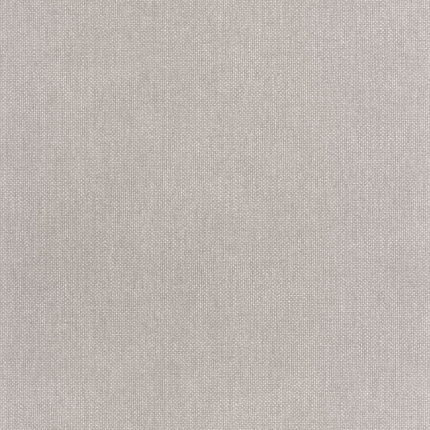 Uni Mat Wallpaper - Cendre - Caselio - 104999609