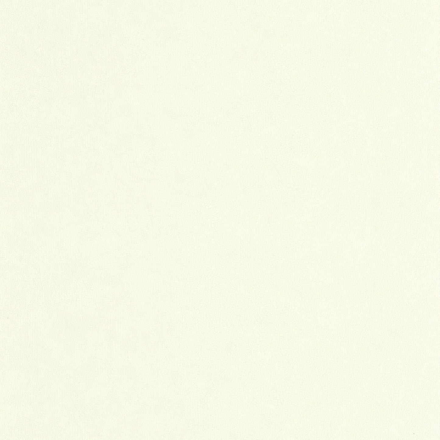 Uni Mat Wallpaper - Celadon - Caselio - 105247110