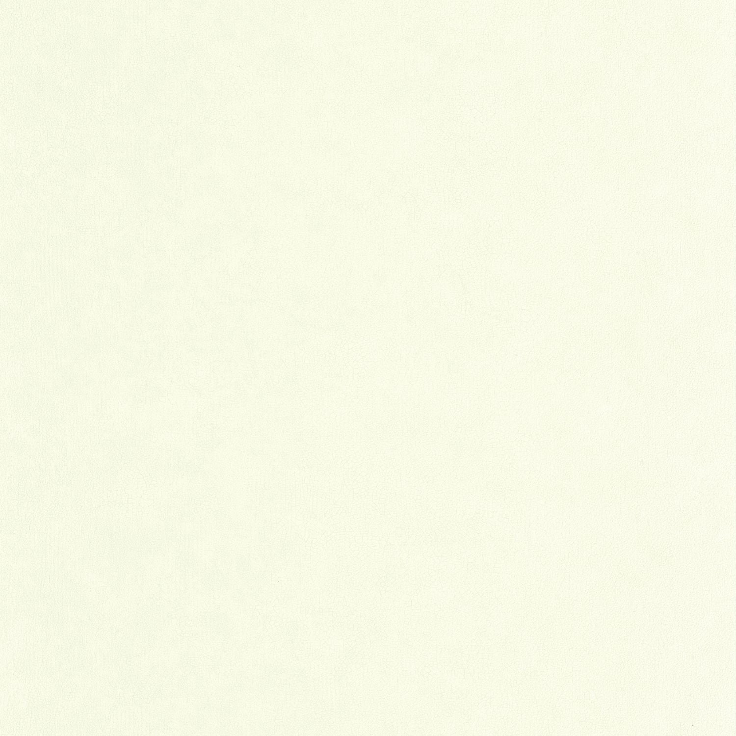 Uni Mat Wallpaper - Celadon - Caselio - 105247110