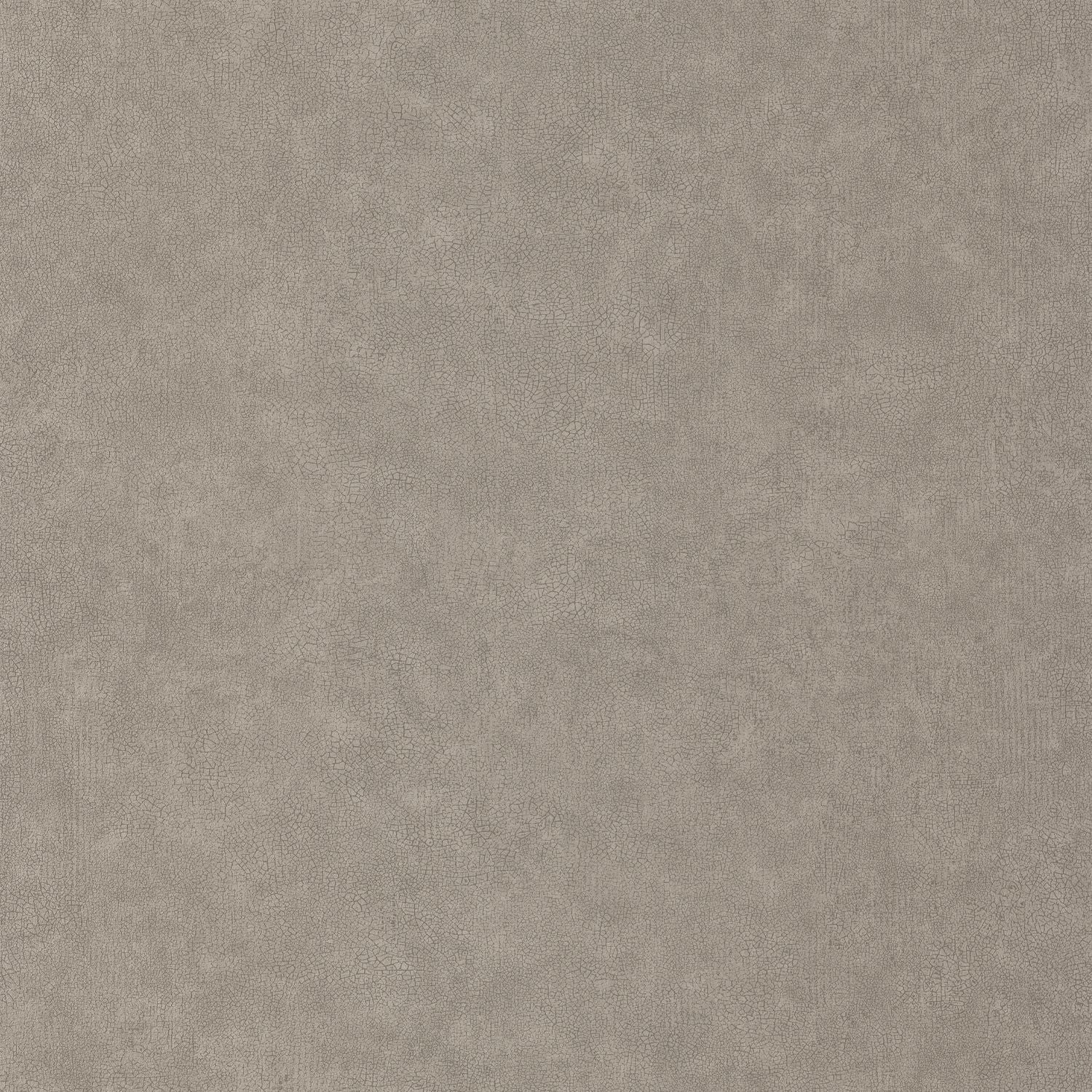Uni Mat Wallpaper - Taupe - Caselio - 105242290