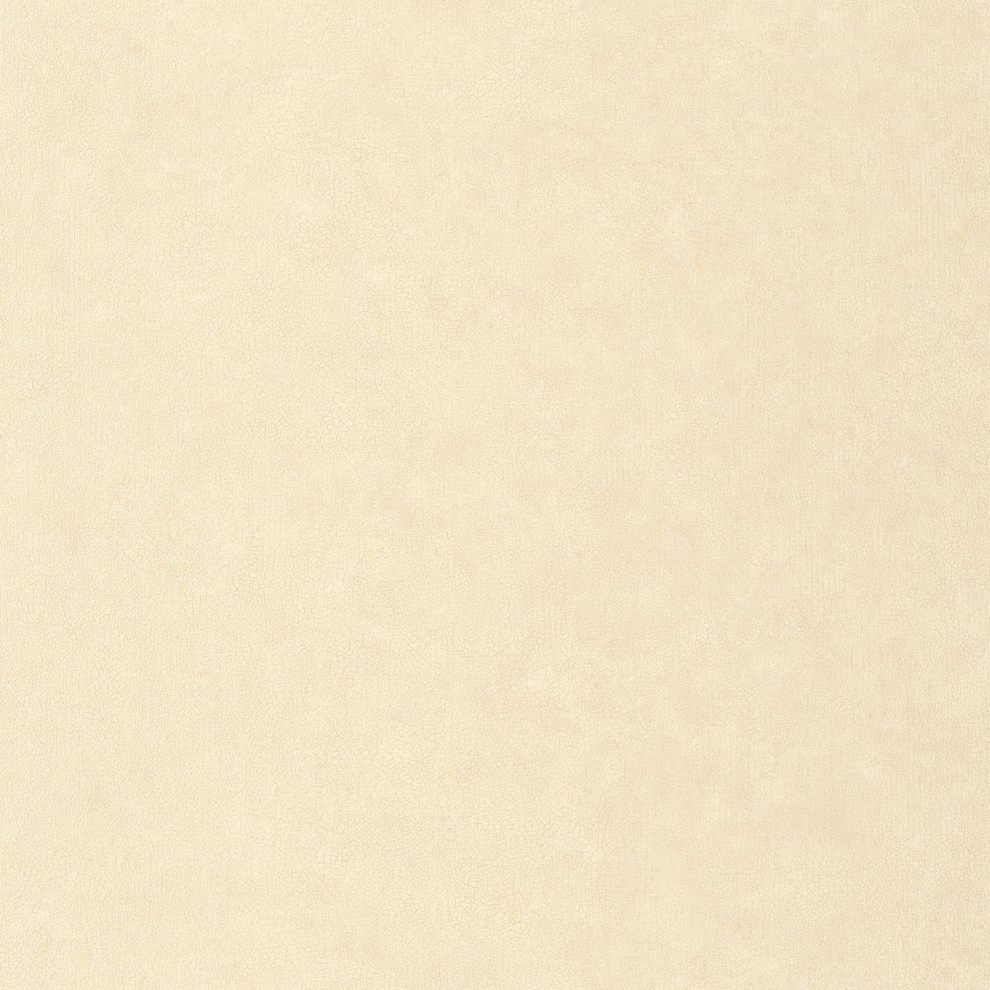 Uni Mat Wallpaper - Beige - Caselio - 105241110