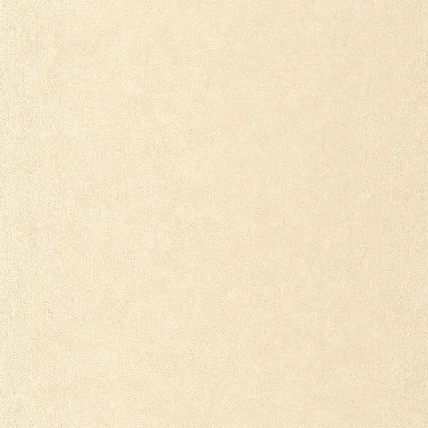 Uni Mat Wallpaper - Beige - Caselio - 105241110