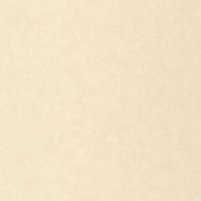 Uni Mat Wallpaper - Beige - Caselio - 105241110