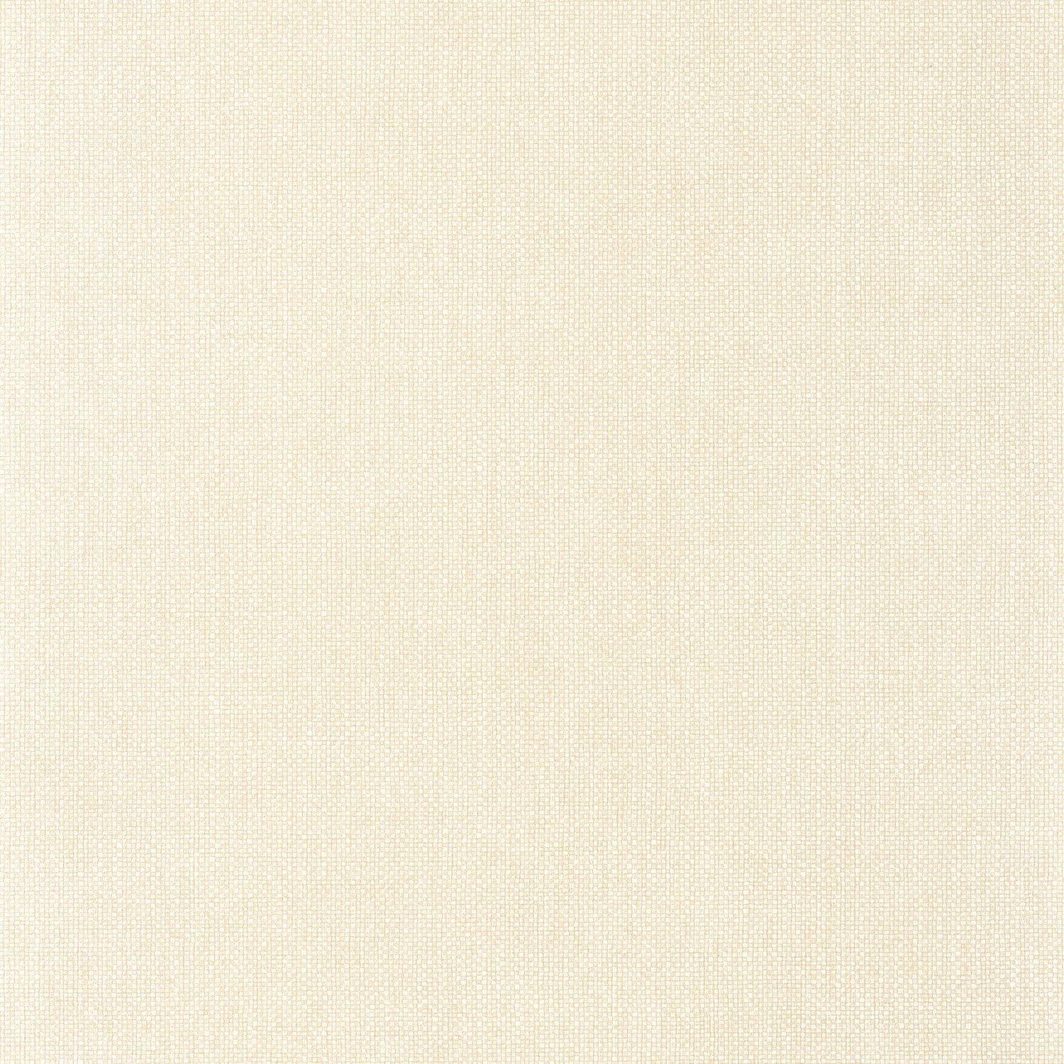 Uni Mat Wallpaper - Creme - Caselio - 104991153