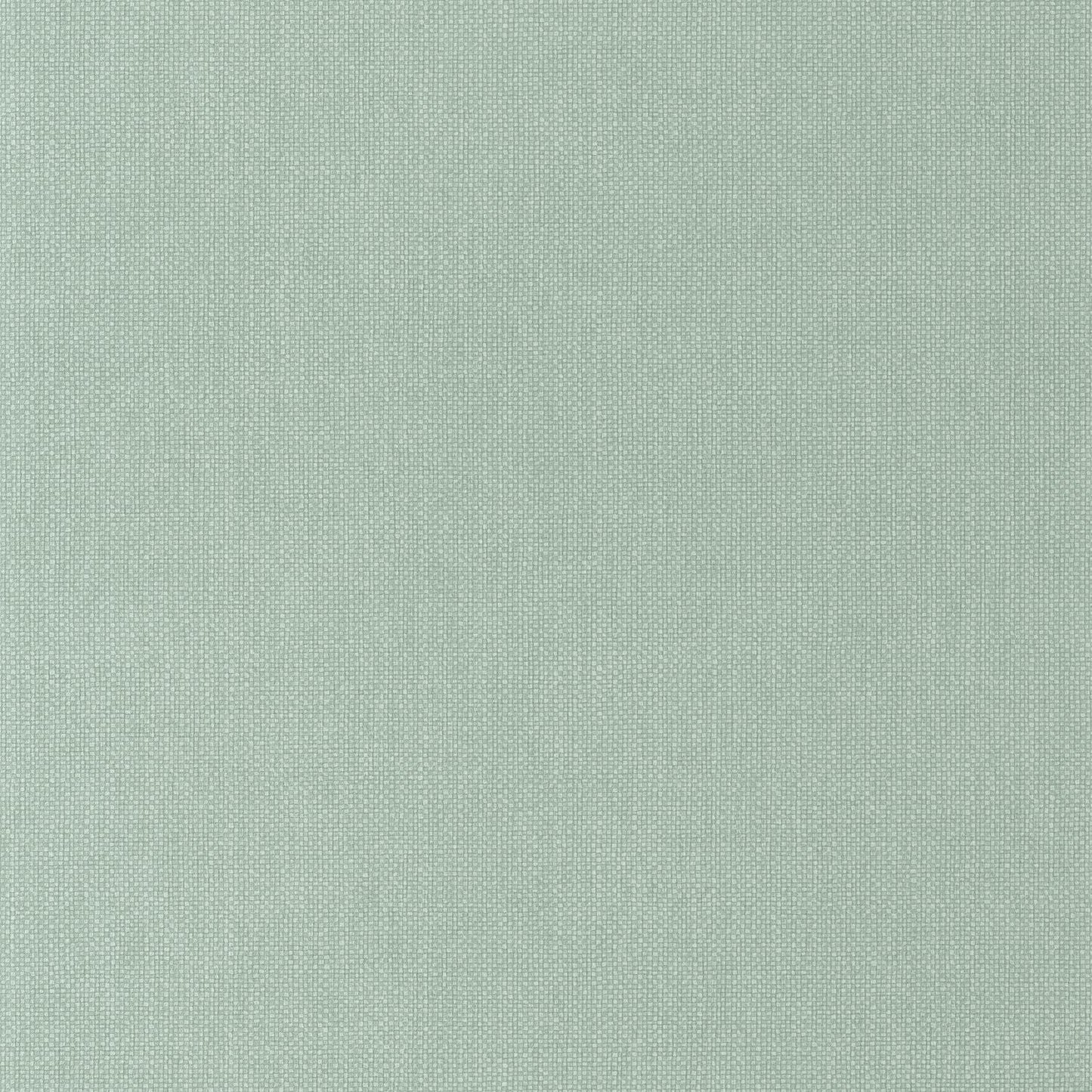 Uni Mat Wallpaper - Vert Celadon - Caselio - 104997134