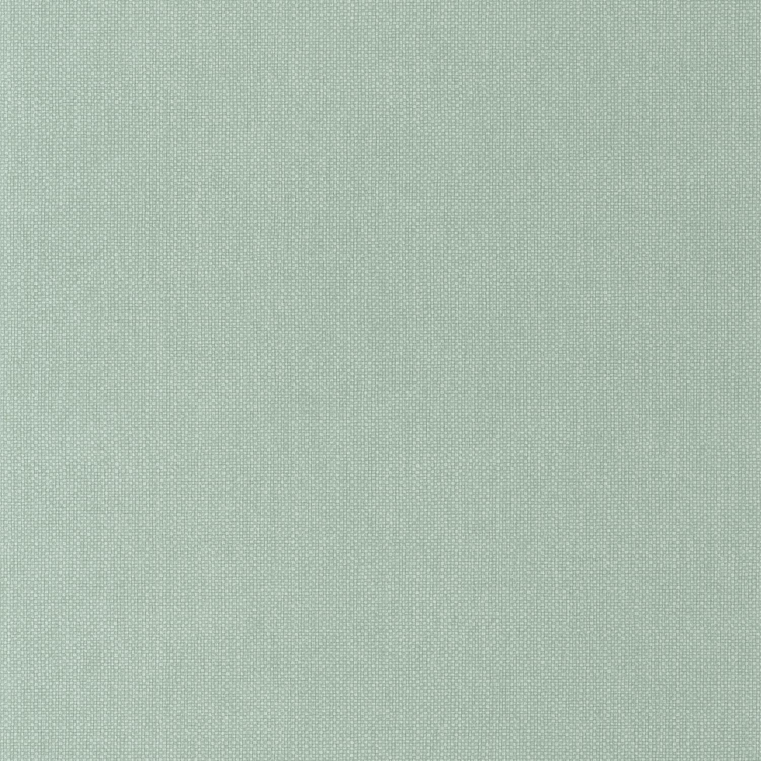 Uni Mat Wallpaper - Vert Celadon - Caselio - 104997134
