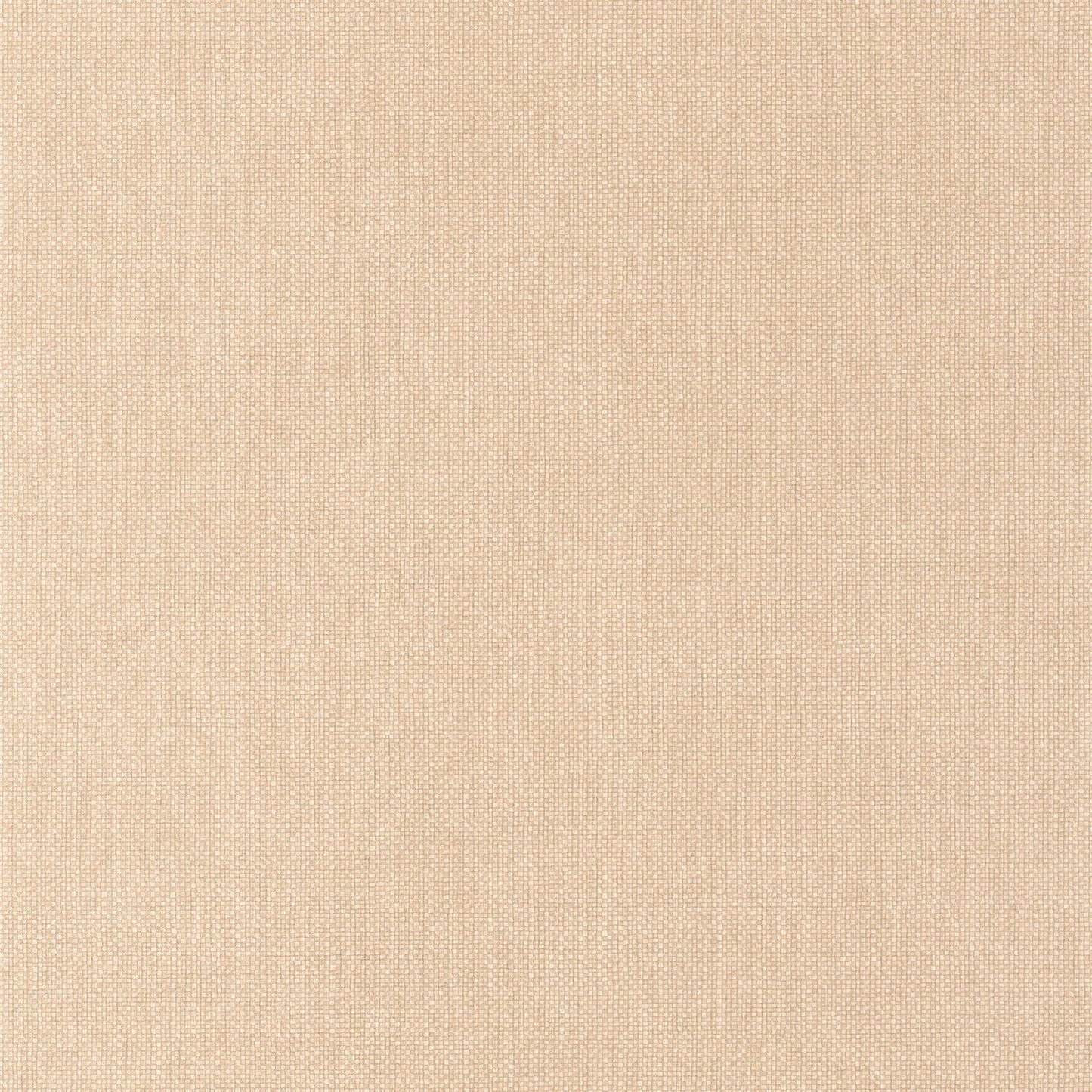 Uni Mat Wallpaper - Beige Pralin - Caselio - 104991560