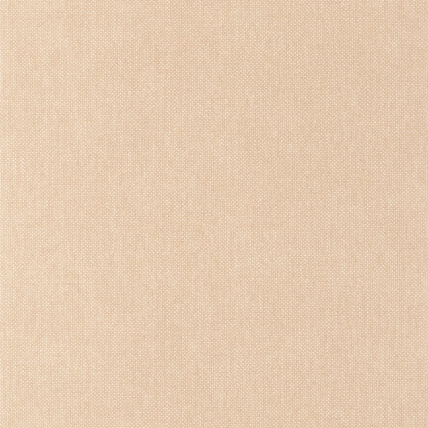 Uni Mat Wallpaper - Beige Pralin - Caselio - 104991560
