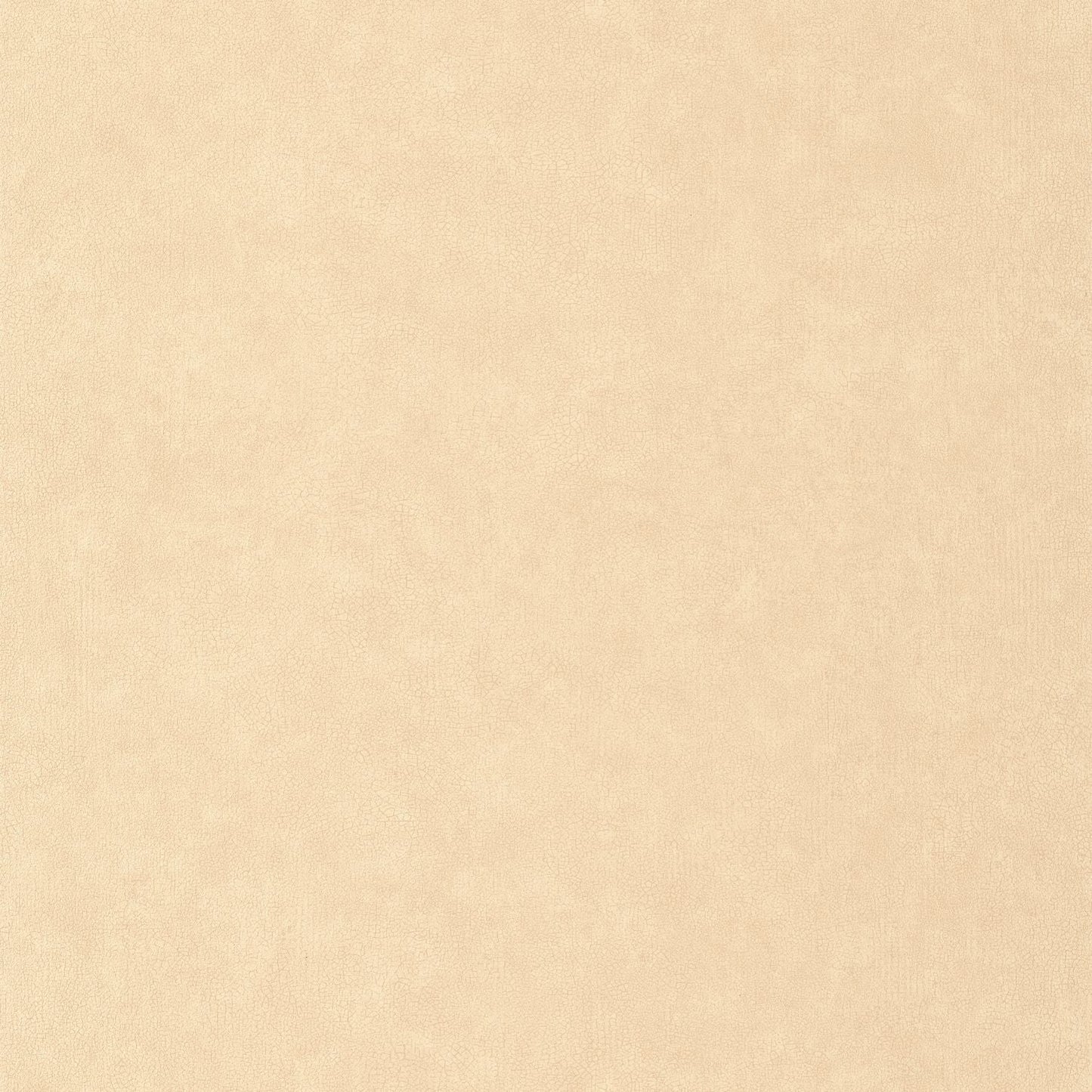 Uni Mat Wallpaper - Beige - Caselio - 105241515