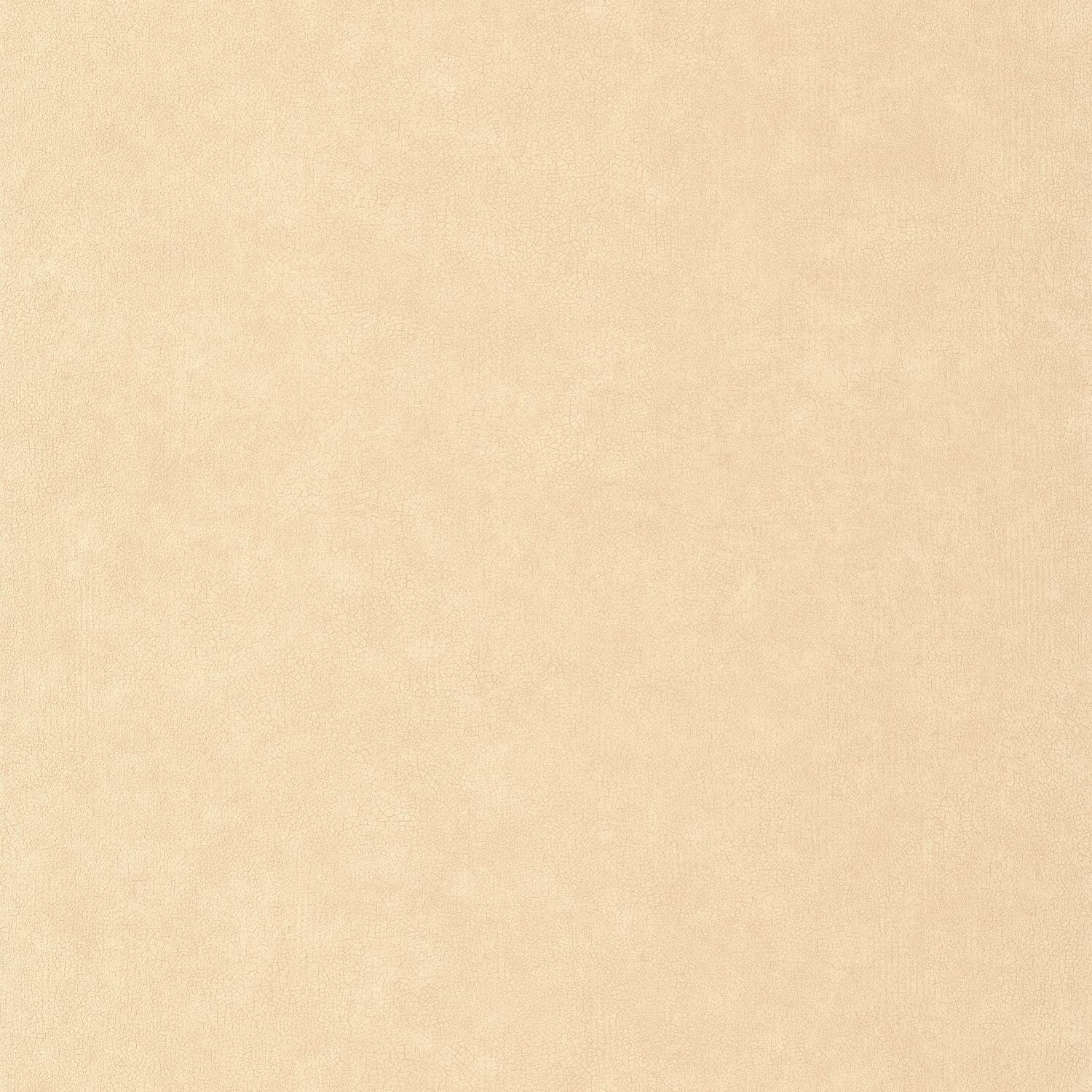 Uni Mat Wallpaper - Beige - Caselio - 105241515