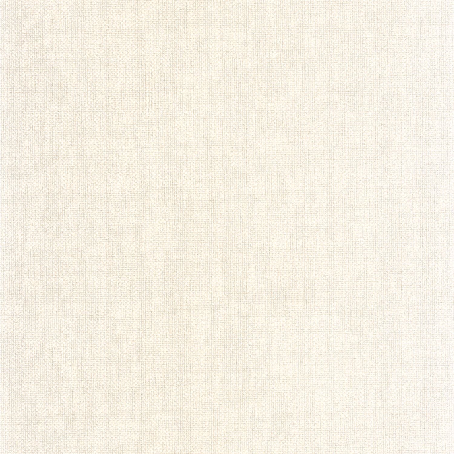 Uni Mat Wallpaper - Ivoire - Caselio - 104991800