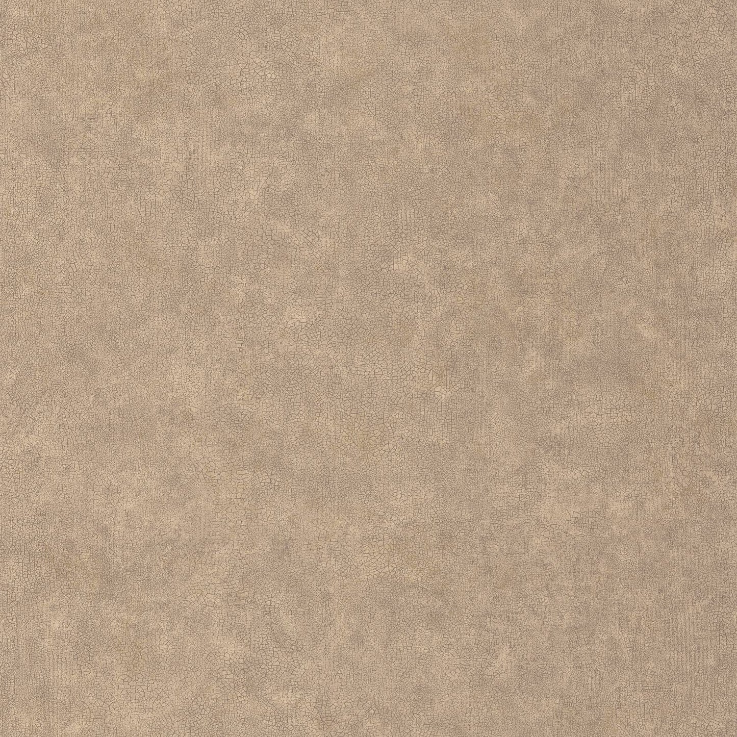 Uni Metallise/ Irise Wallpaper - Grege - Caselio - 105252120