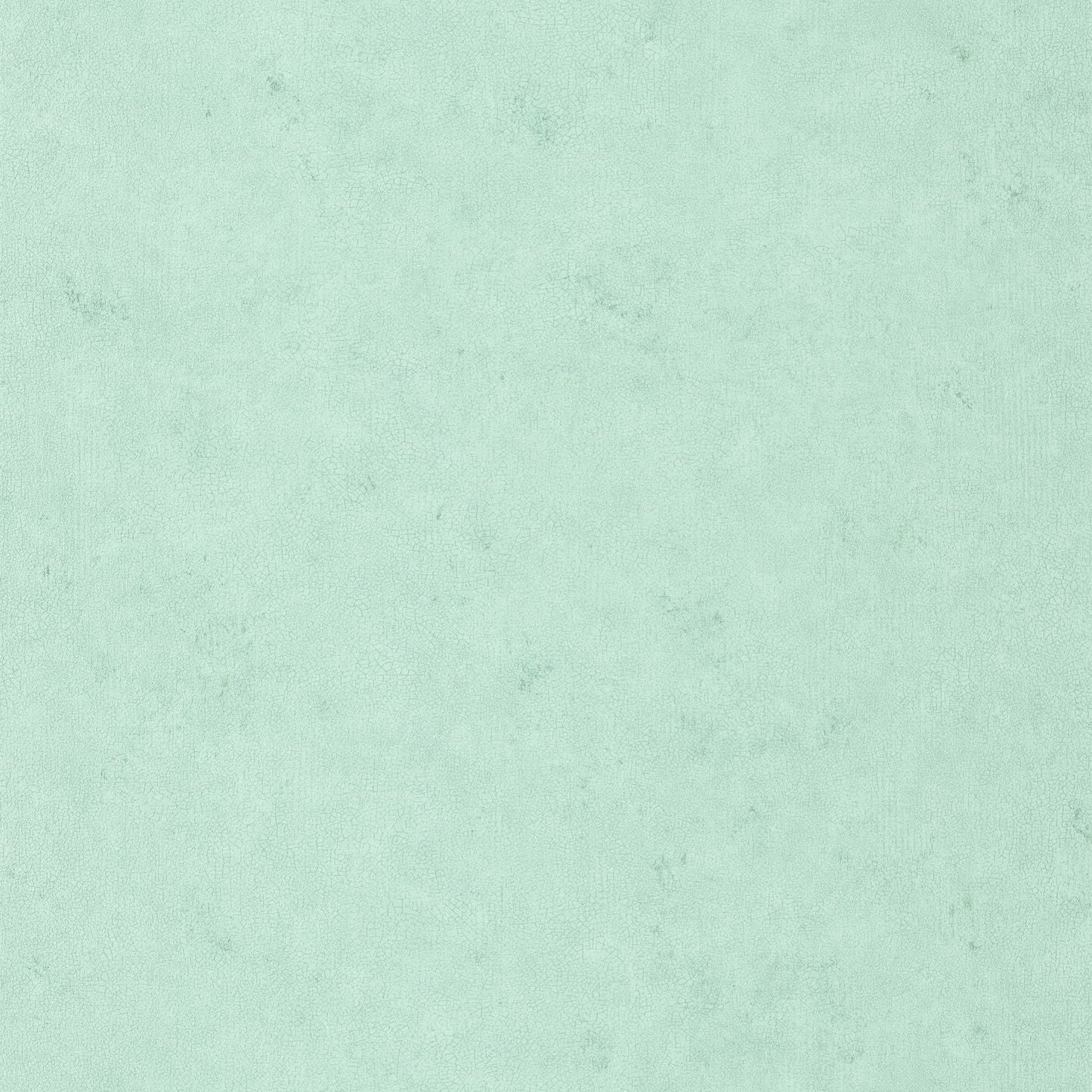 Uni Metallise/ Irise Wallpaper - Givre Irise - Caselio - 105257150