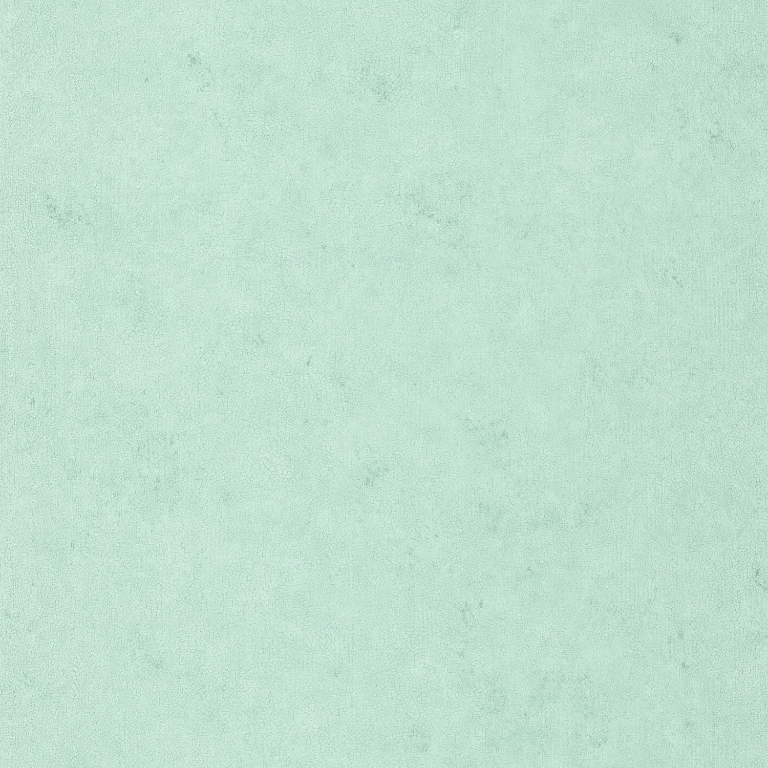 Uni Metallise/ Irise Wallpaper - Givre Irise - Caselio - 105257150