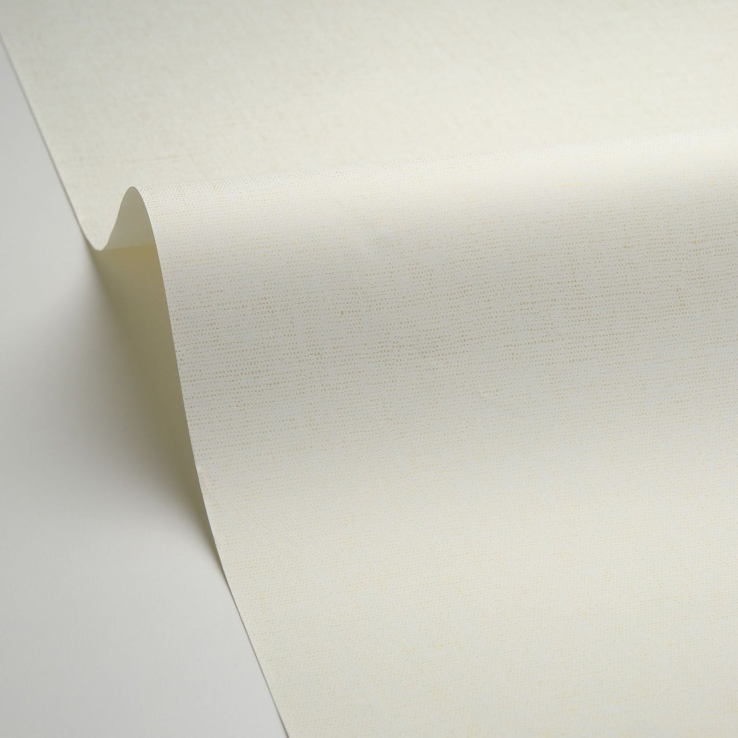 Uni Metallise/irise Wallpaper - Blanc  - Caselio - 103230020